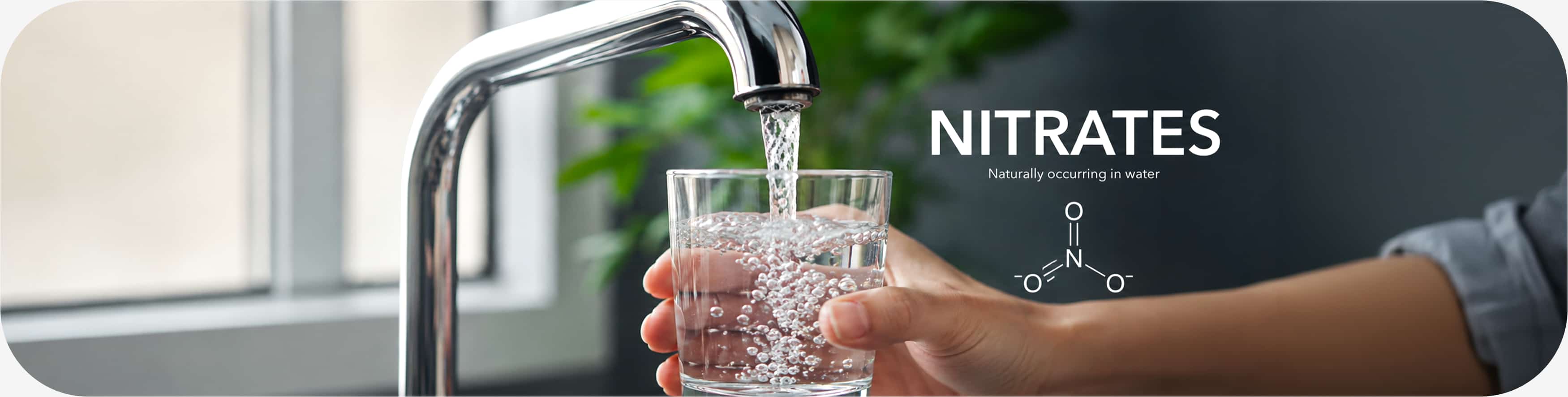 Nitrates dans l'eau potable en France